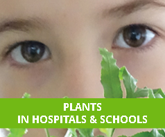 Plants in Hospitals and Schools