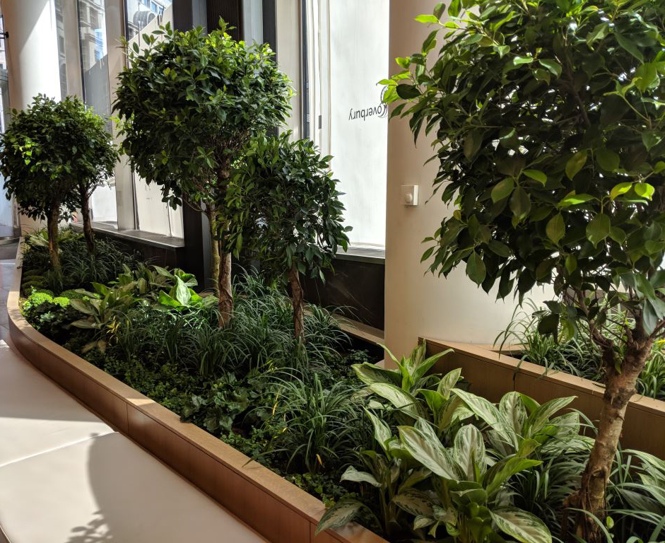 1.Deloitte.RECEPTION BEDS Copy18894