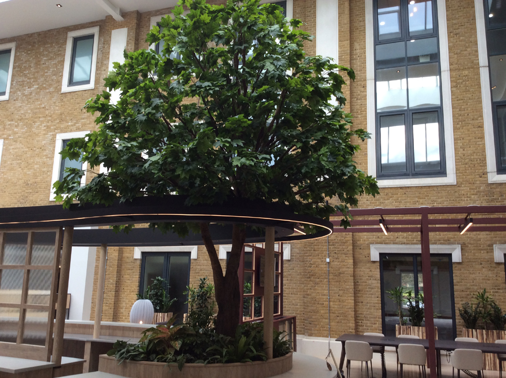 2. Side view of the cafe Lr