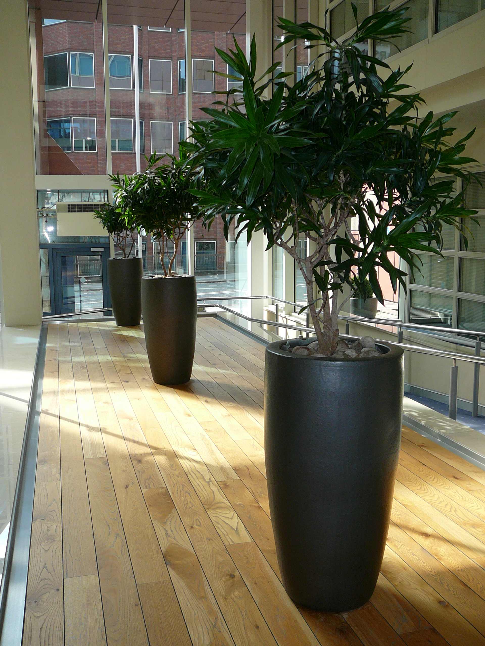 2009 Apex Containers