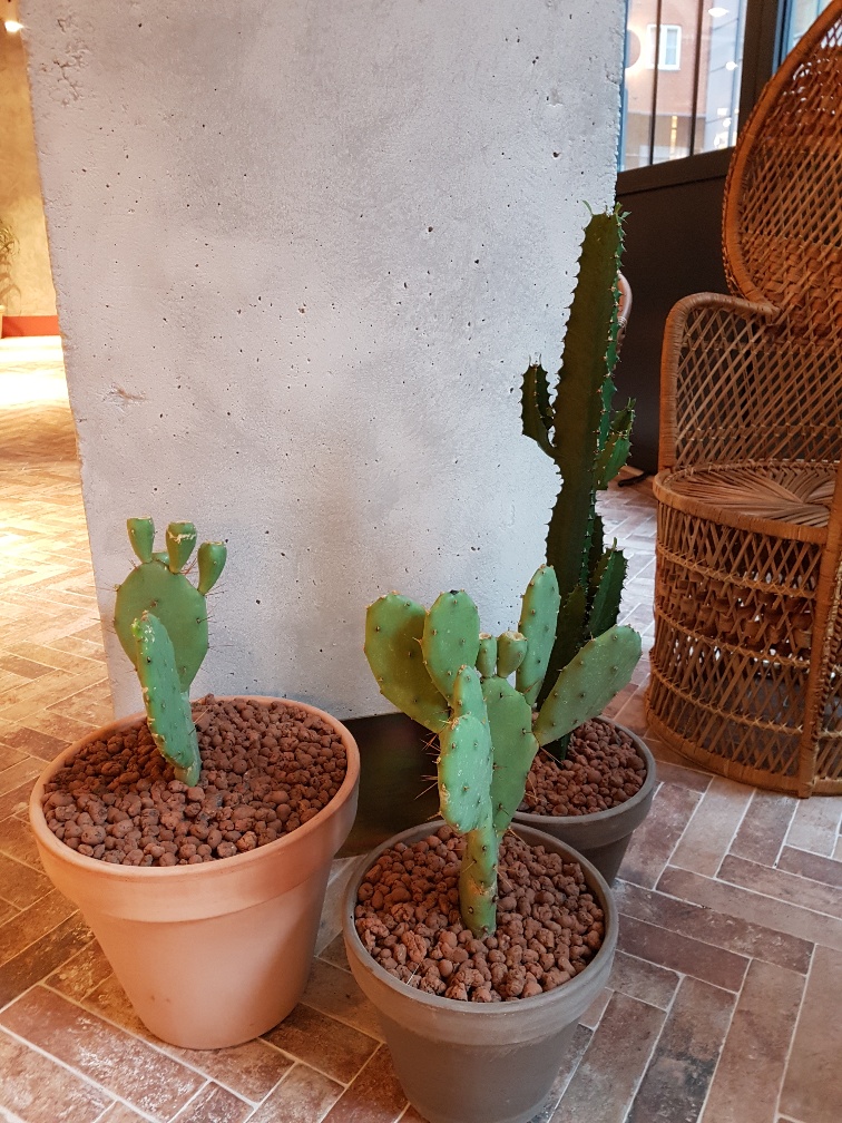 4. Interior displays