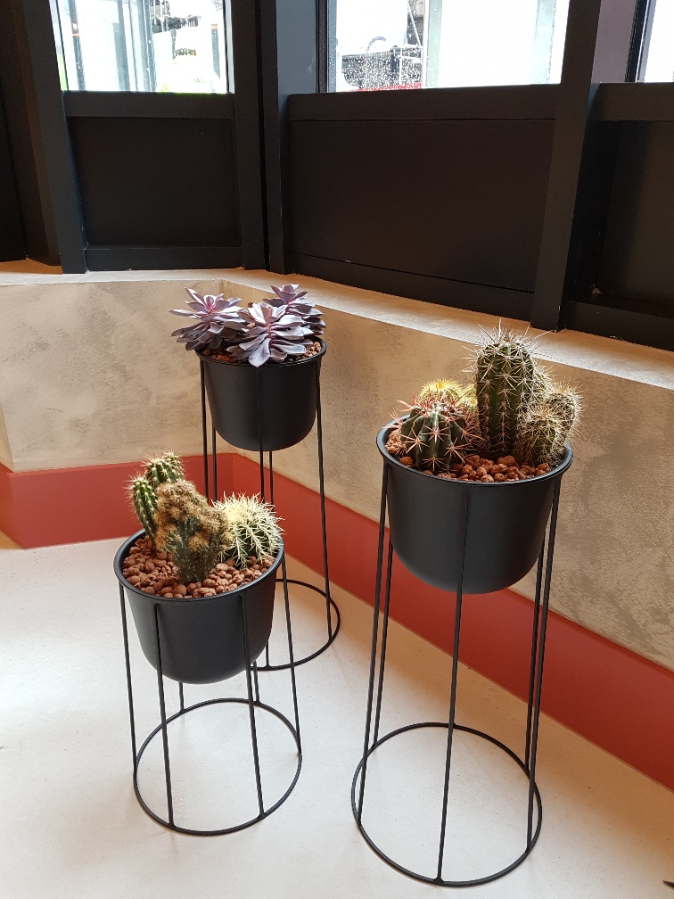 6. Interior displays