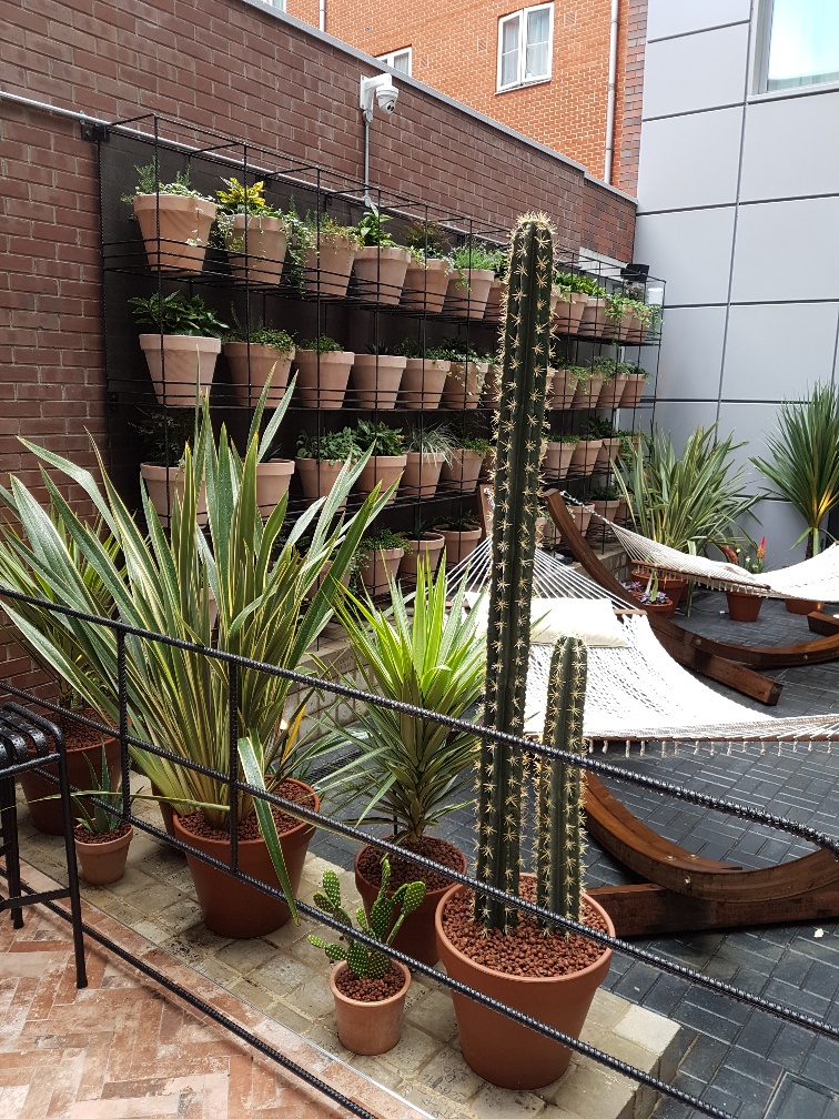 7. Courtyard planting exterior