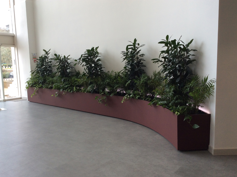 9. Reception curved planter with mixed plants LR