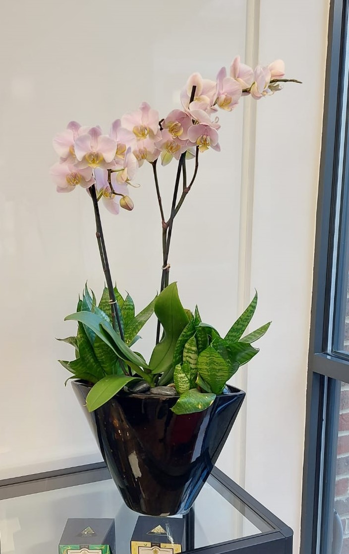 An example that simple is still very stunning