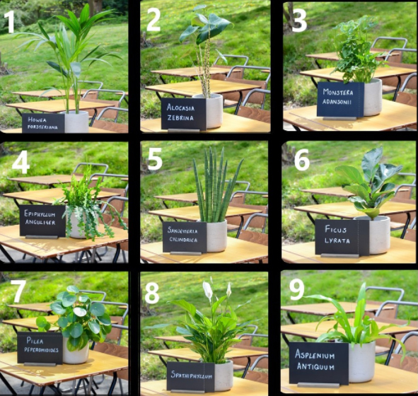 Desk montage at Chelsea fringe