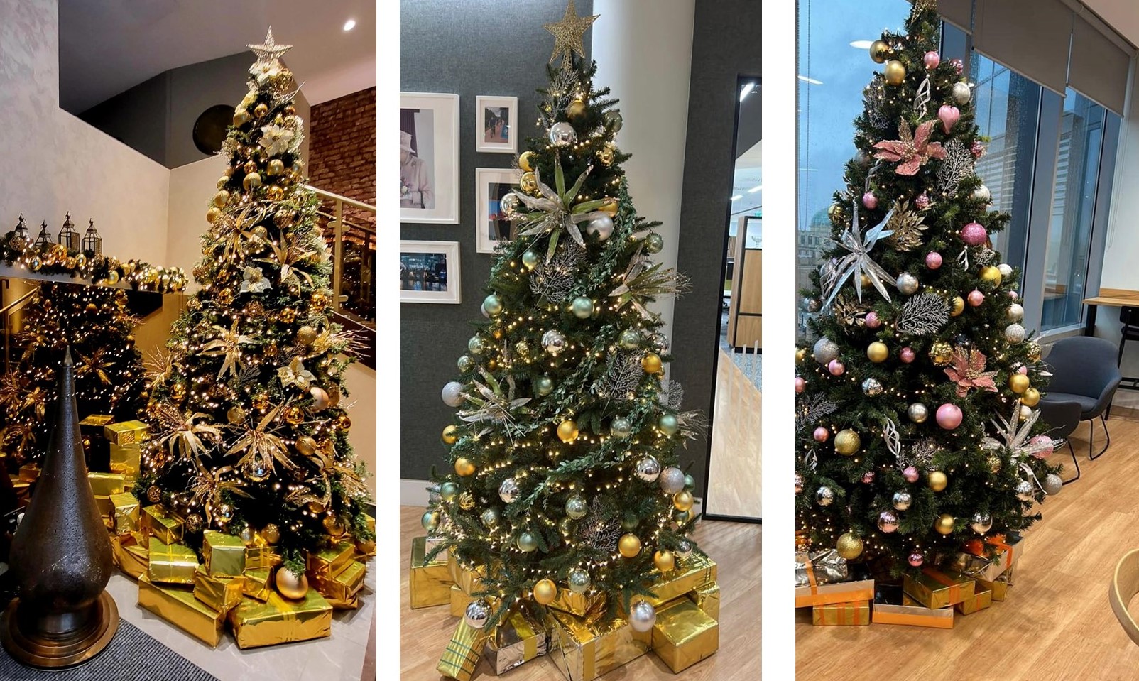 Elves UP North Various trees 2