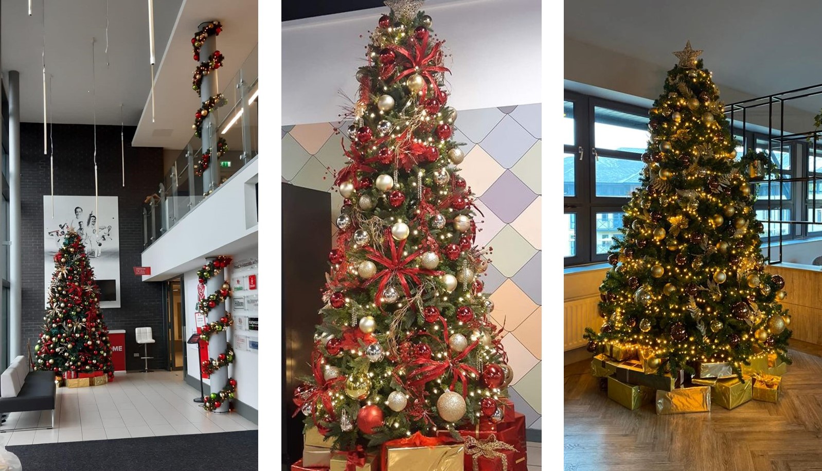 Elves UP North Various trees 3