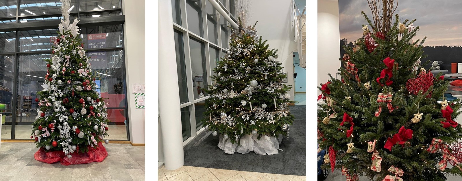 Elves UP Peterb various 3