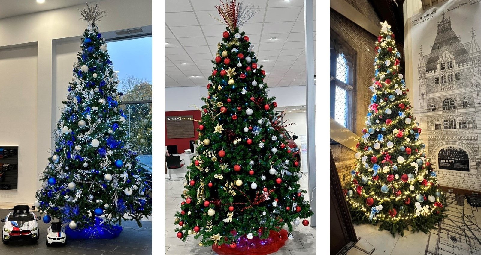 Elves simply plants various