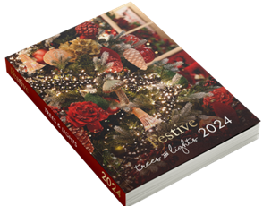 Festive Cat Picture2