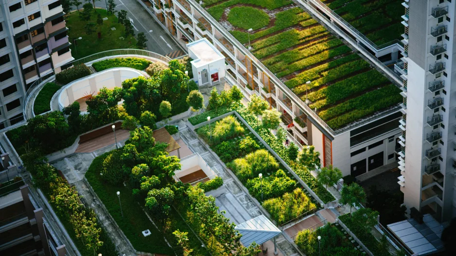 Green roofs