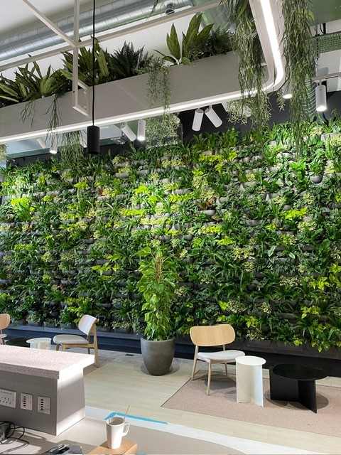 Image 10 complete install