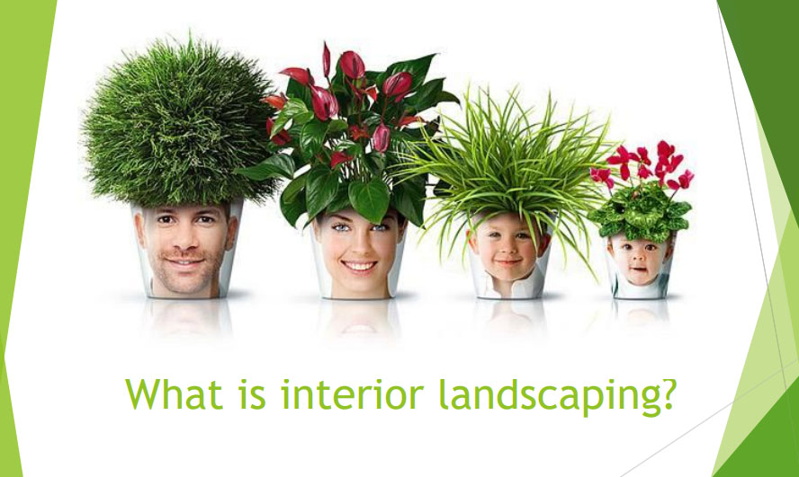 Int Landscaping