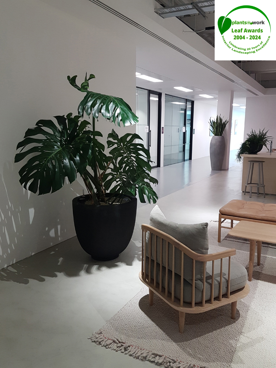 Kobalt Music 3 lr logo