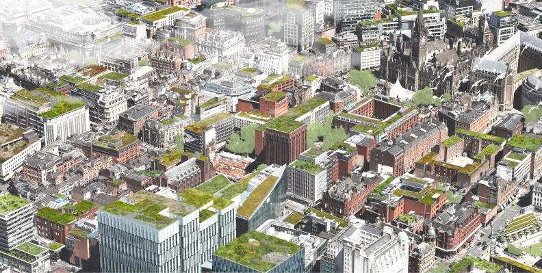 Northern forest Manchester