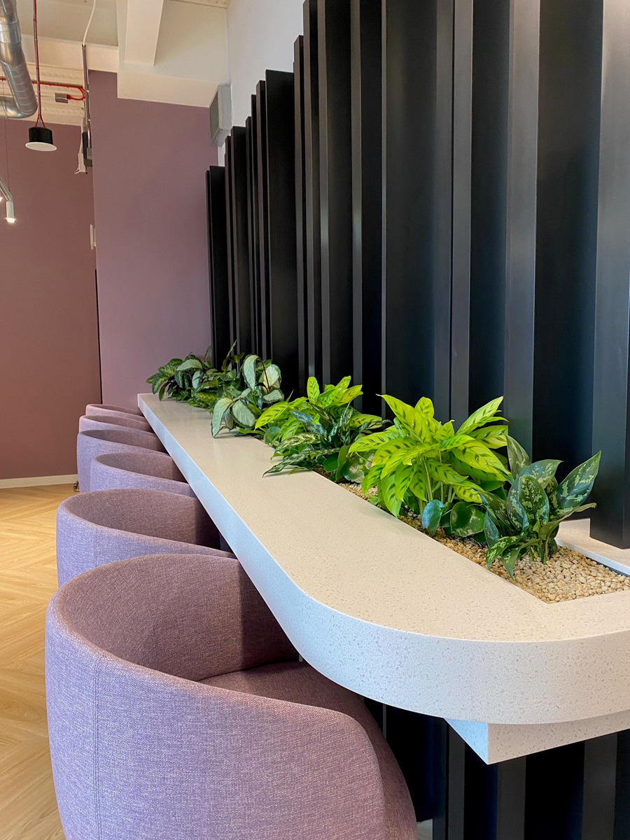 Picture 4 BCG Long Table Built in Planting