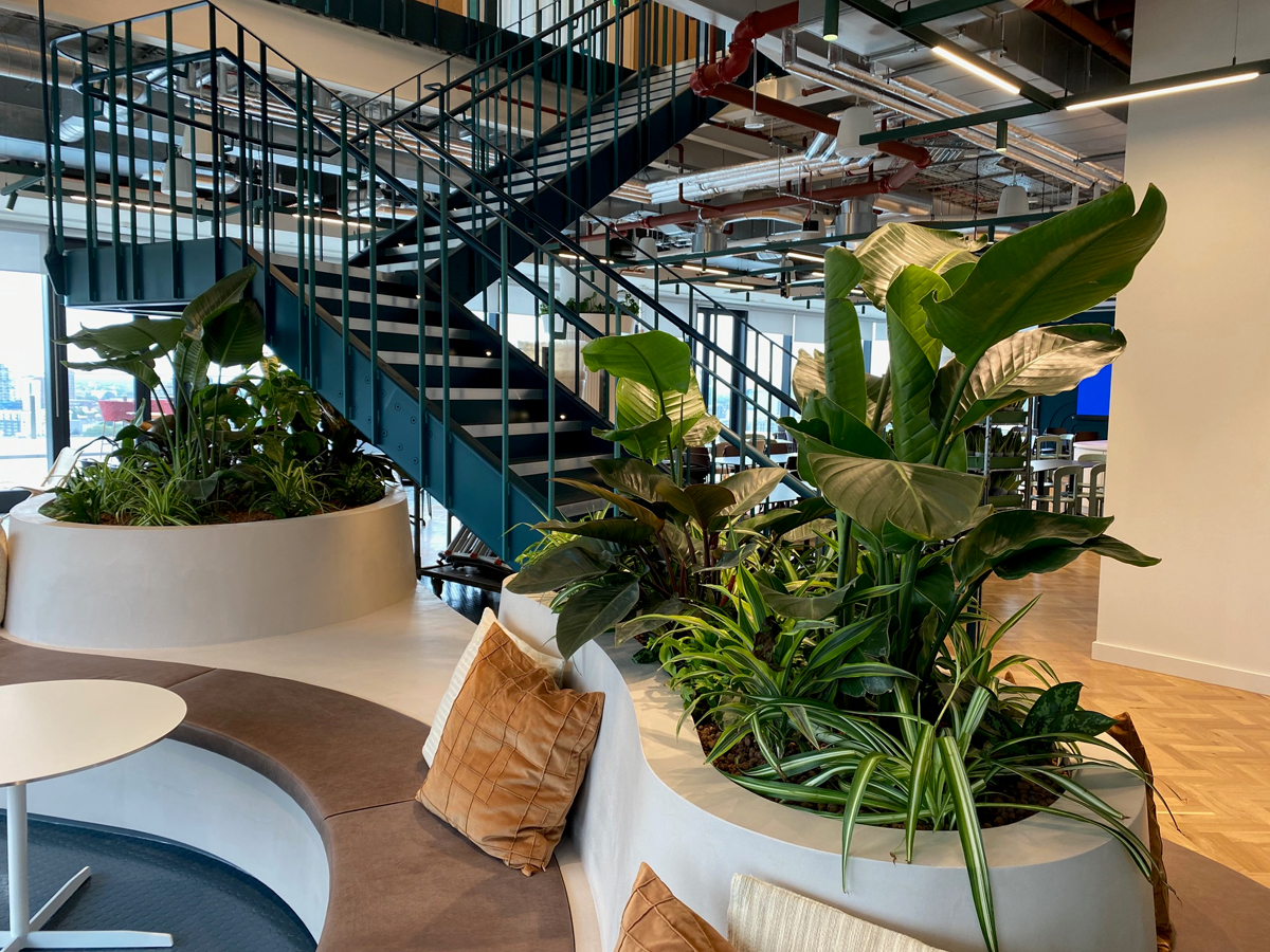 Picture 5 BCG Understairs Built in Planter