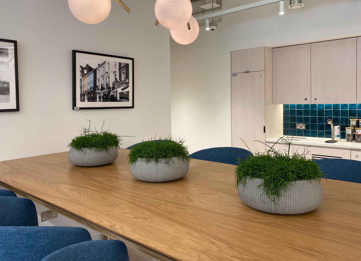 Picture 6 BCG Round Table Planters