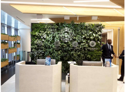 Sky Gardens 2