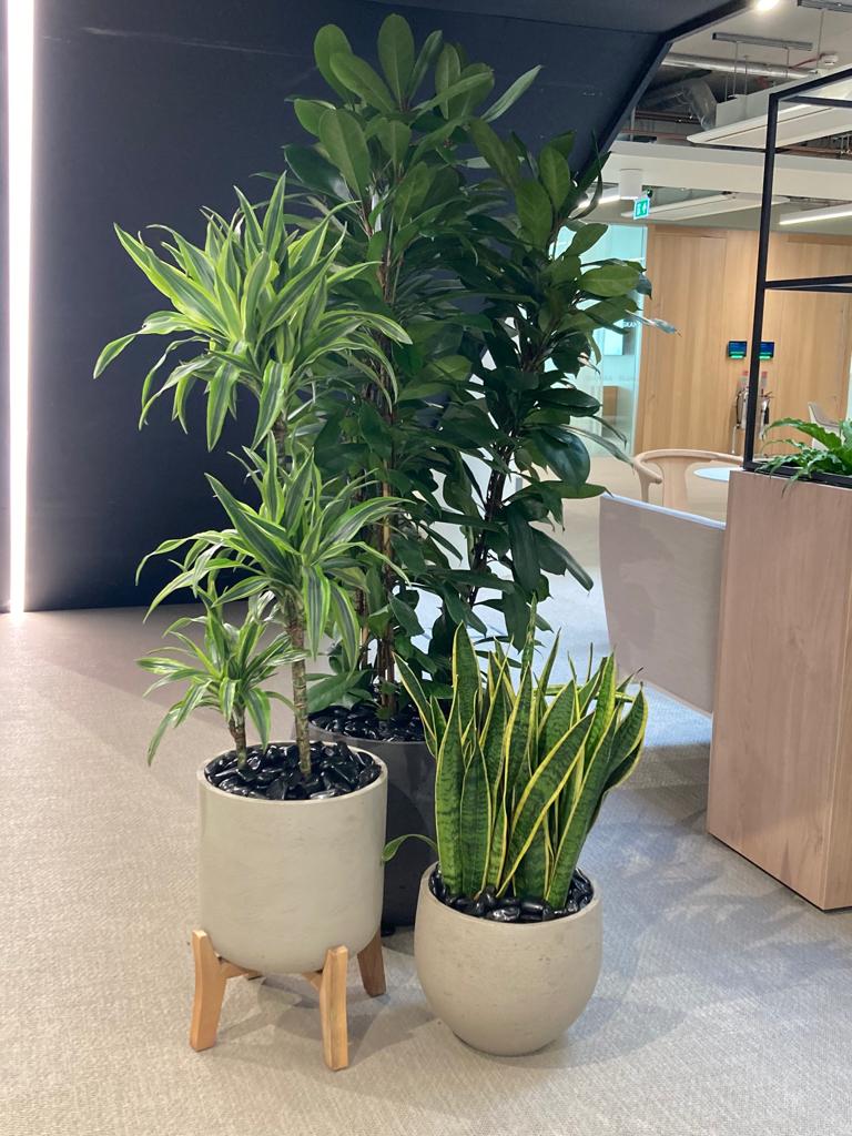 a perfect example of how height colour and texture can complement each other and the space perfectly