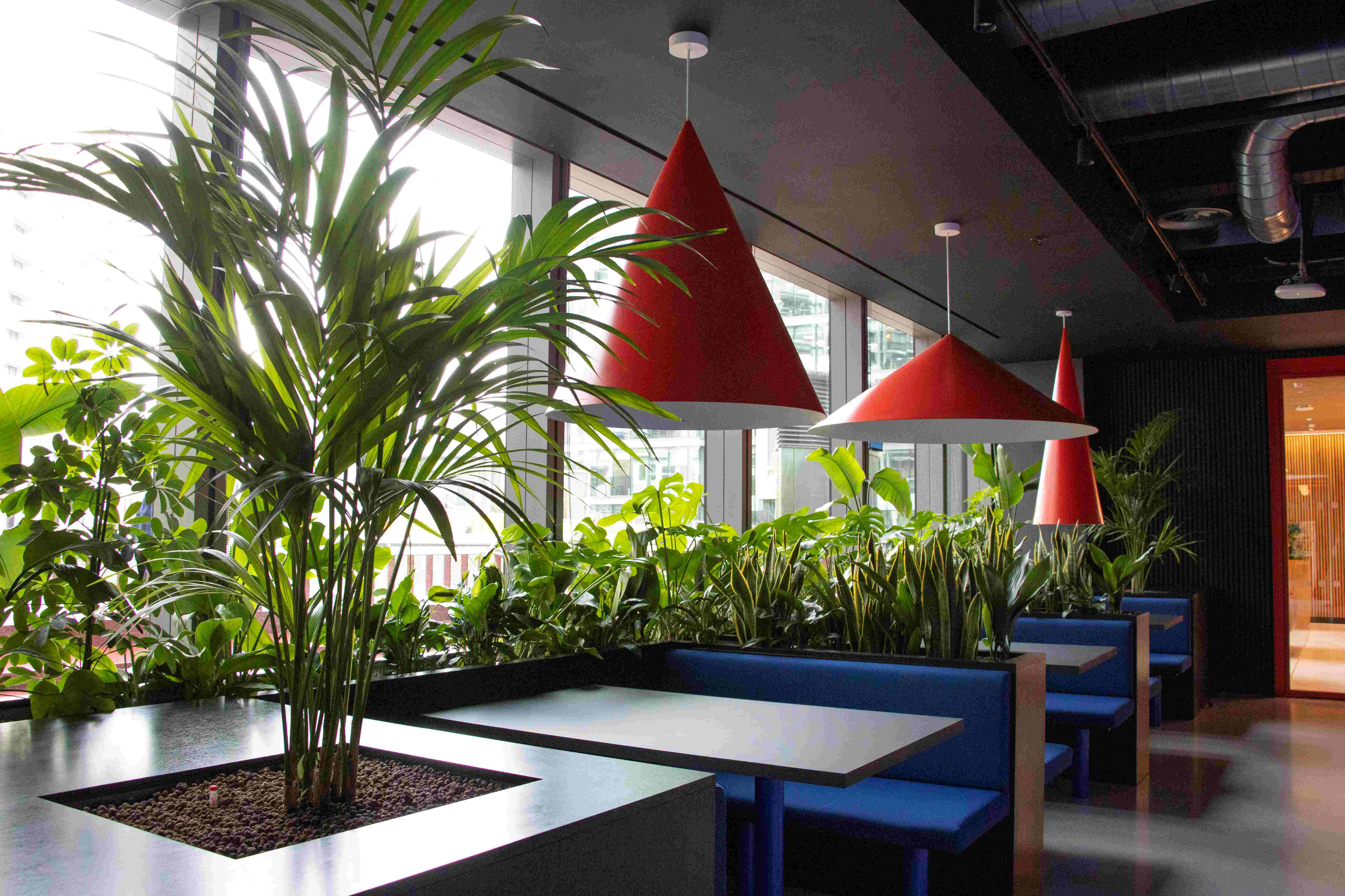 Photo 1 Ground Floor Built In Planters lr