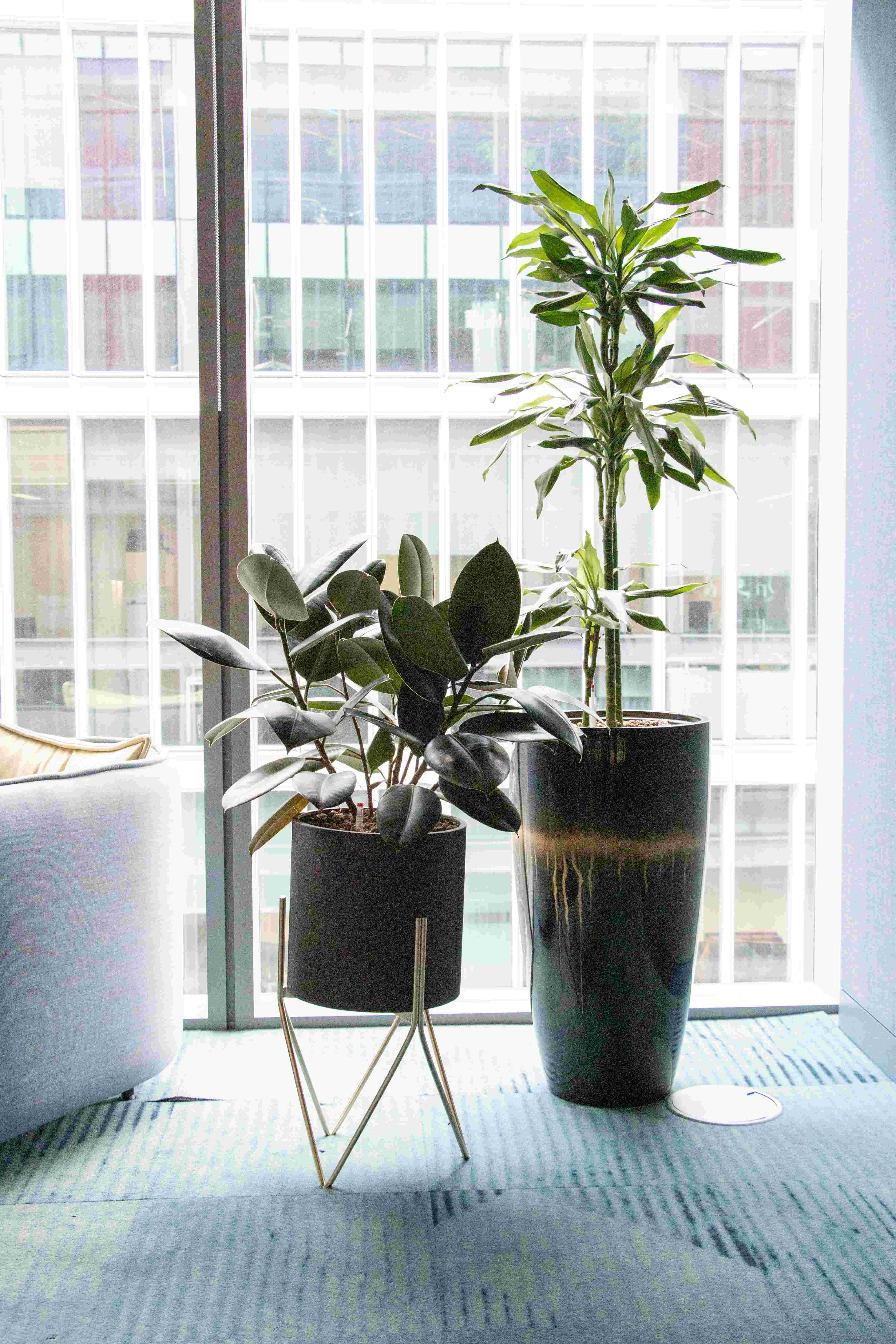 Photo 7 Music 7th Floor Drum Planter and Music Waves Planter lr