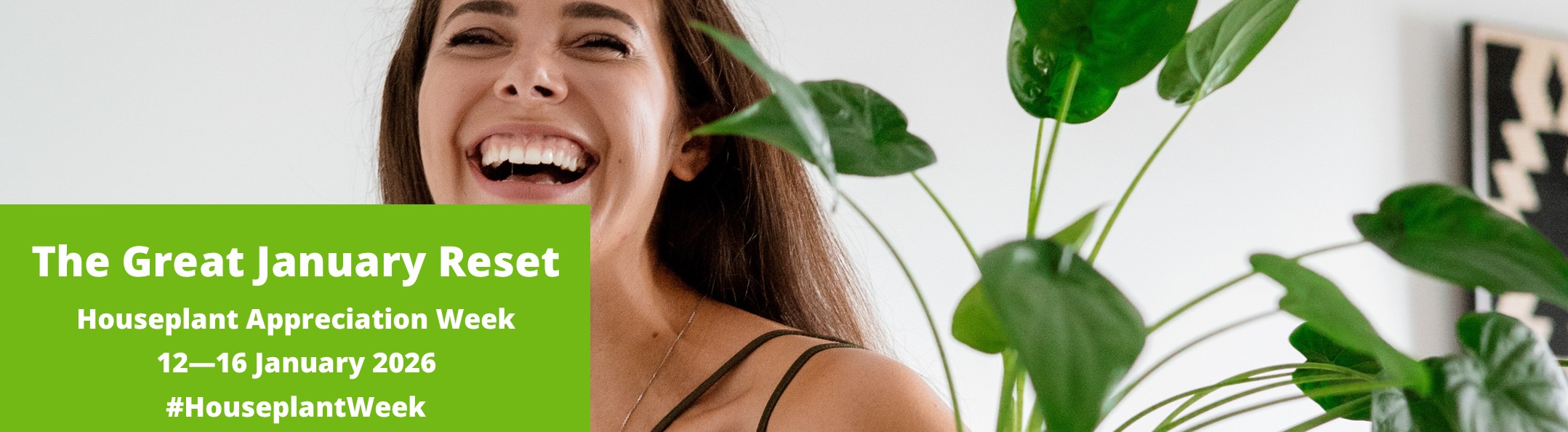 Houseplant Appreciation Week 2026 4