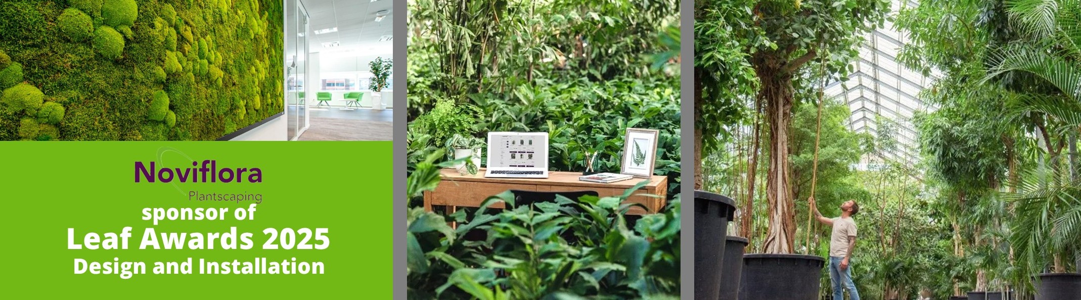 Noviflora awards 2025 website banner