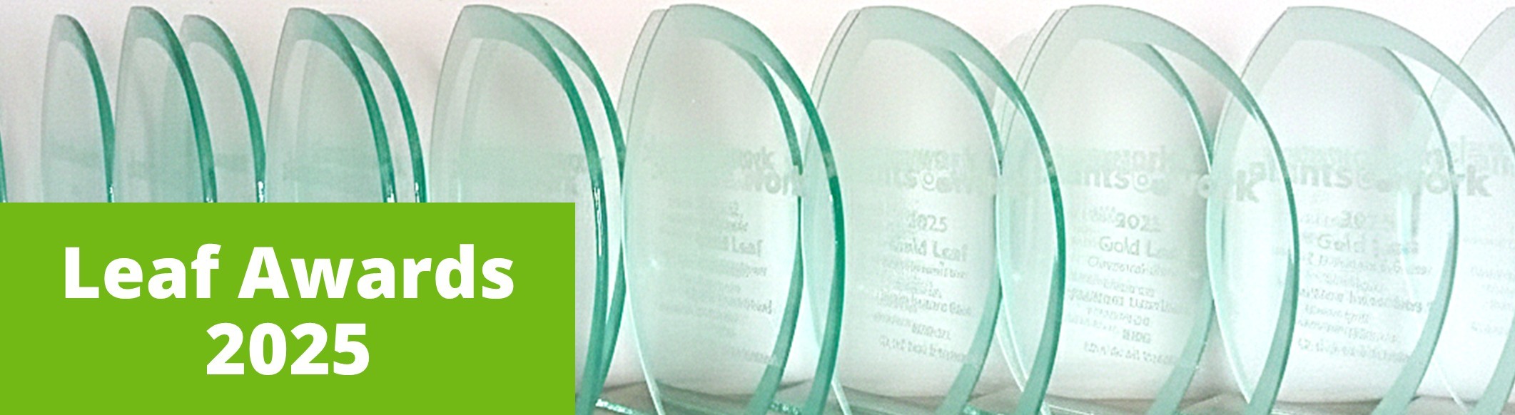 awards 2025 results 5