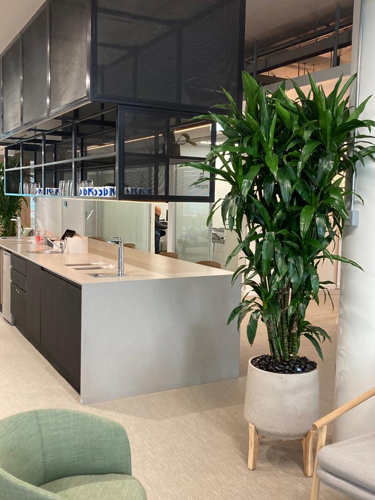 complementing the pops of mint green tastefully and mirroring the height of the island overhead