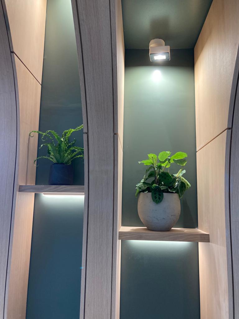 contrasting shapes and sizes complementing the space