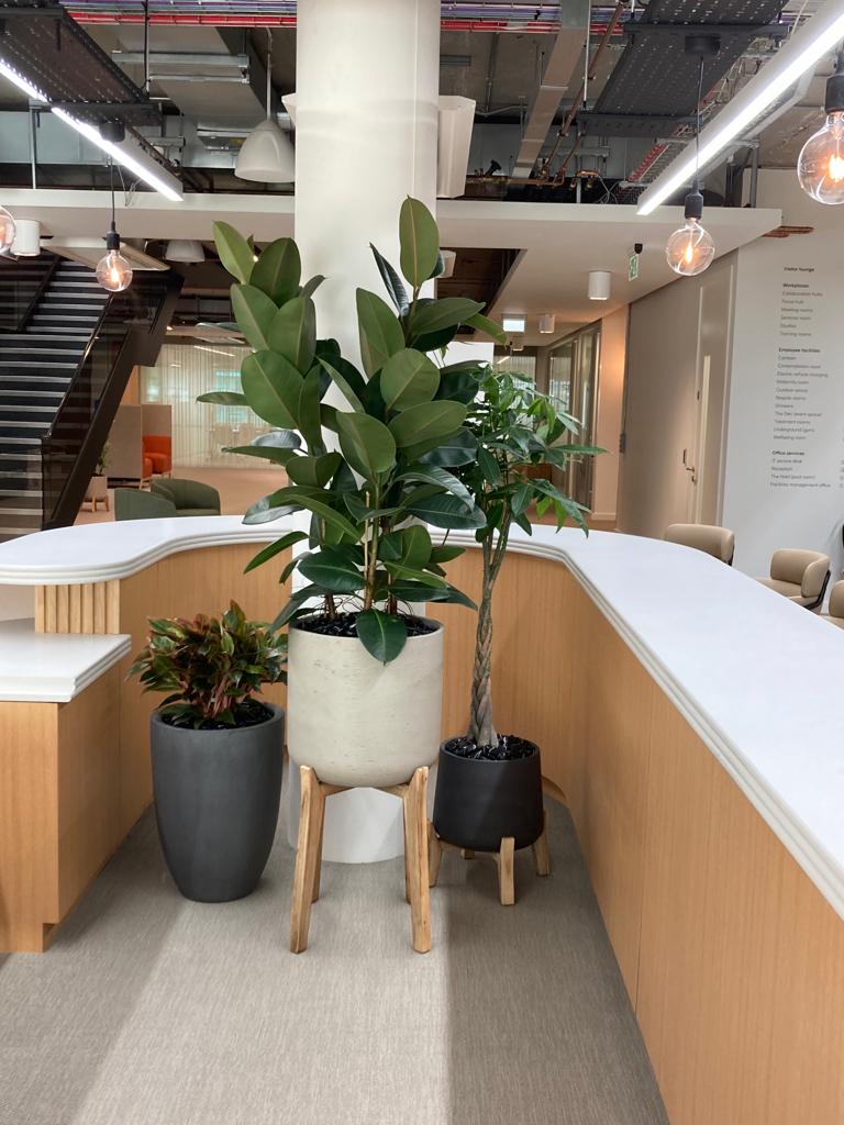 height texture and colour mean this work space has a lovely view