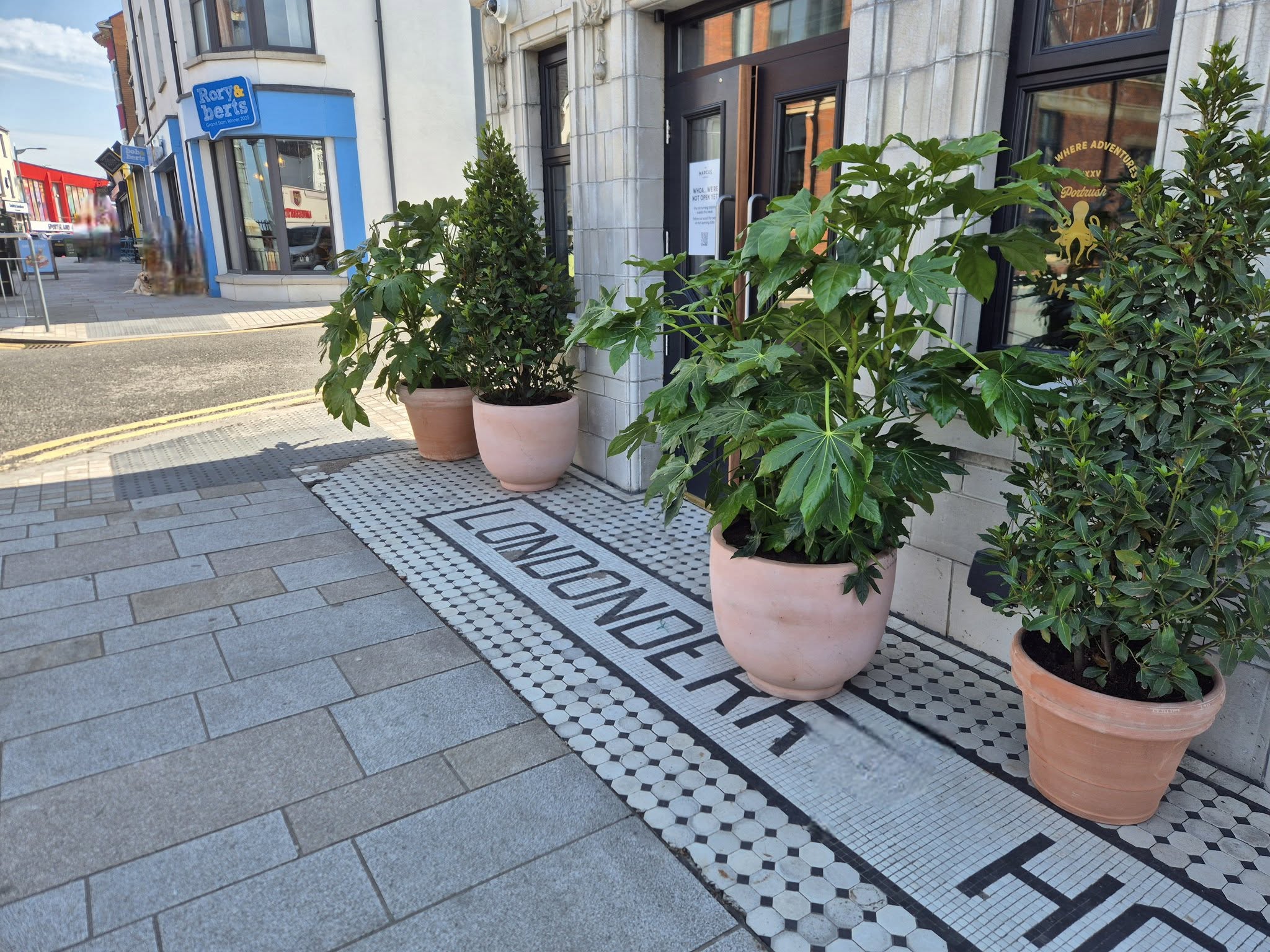 ac rentaplant Marcus5