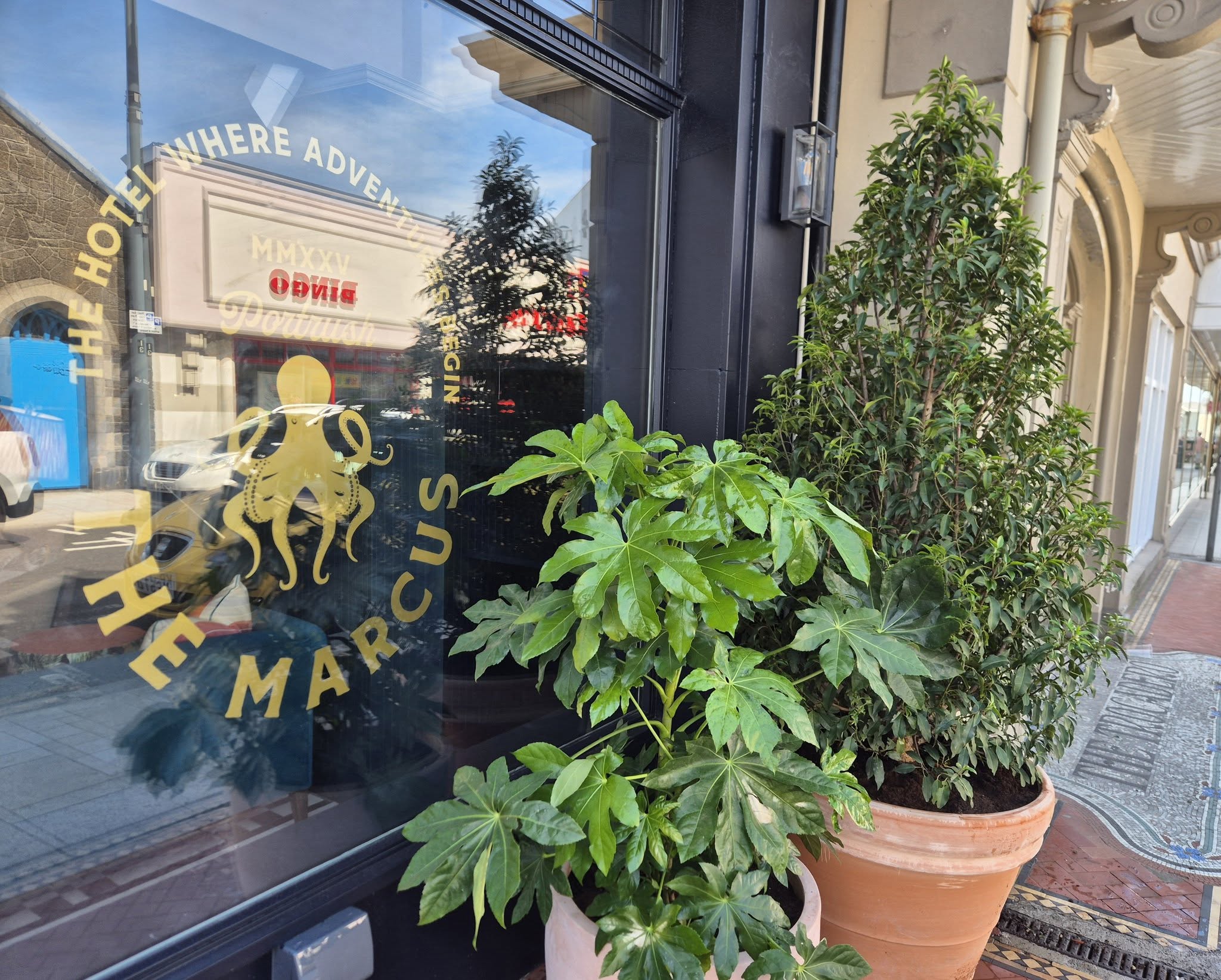 ac rentaplant Marcus6