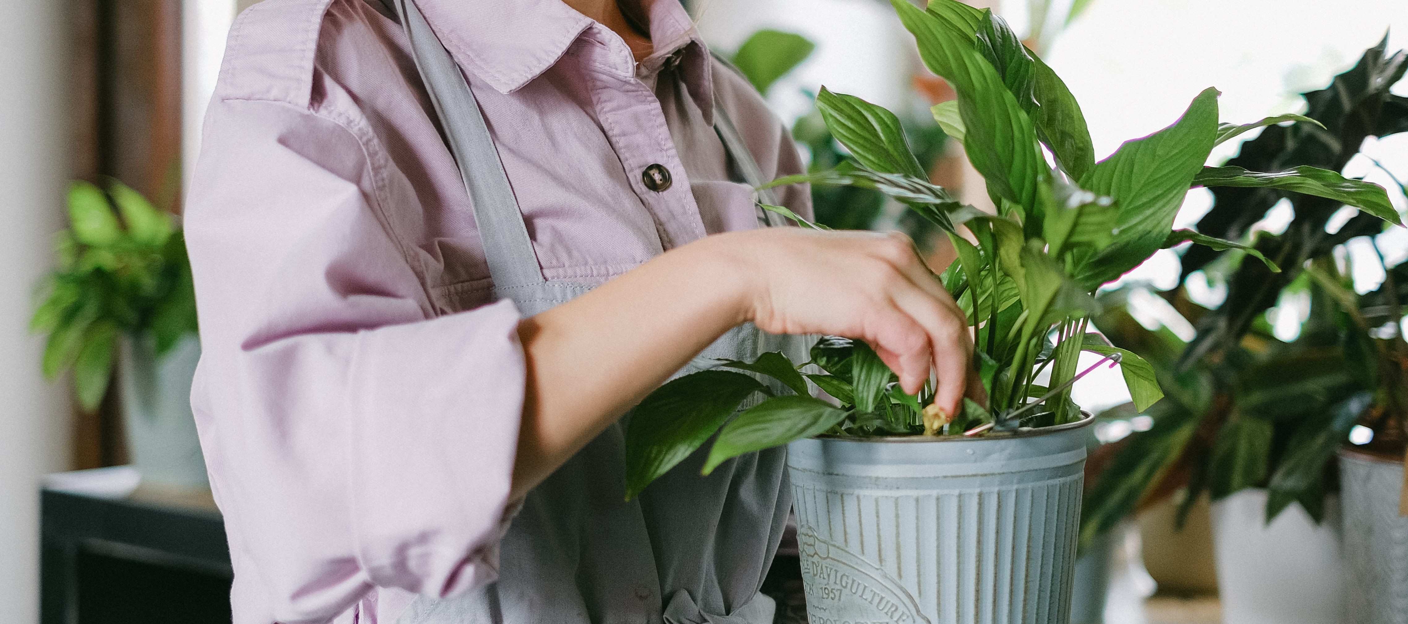 pexels anna shvets 5894033