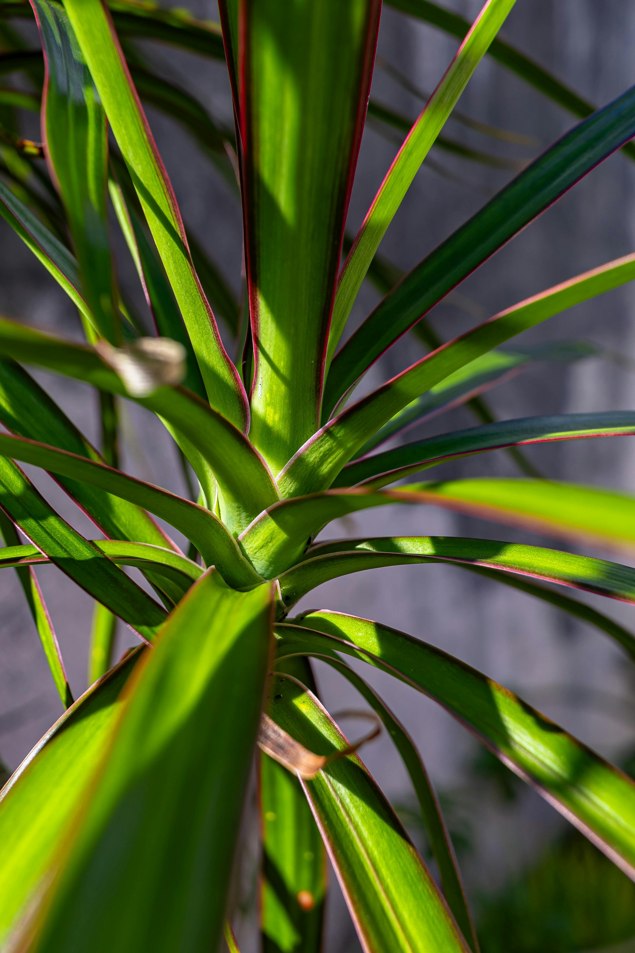 pexels moy caro photographer 296475578 28951838