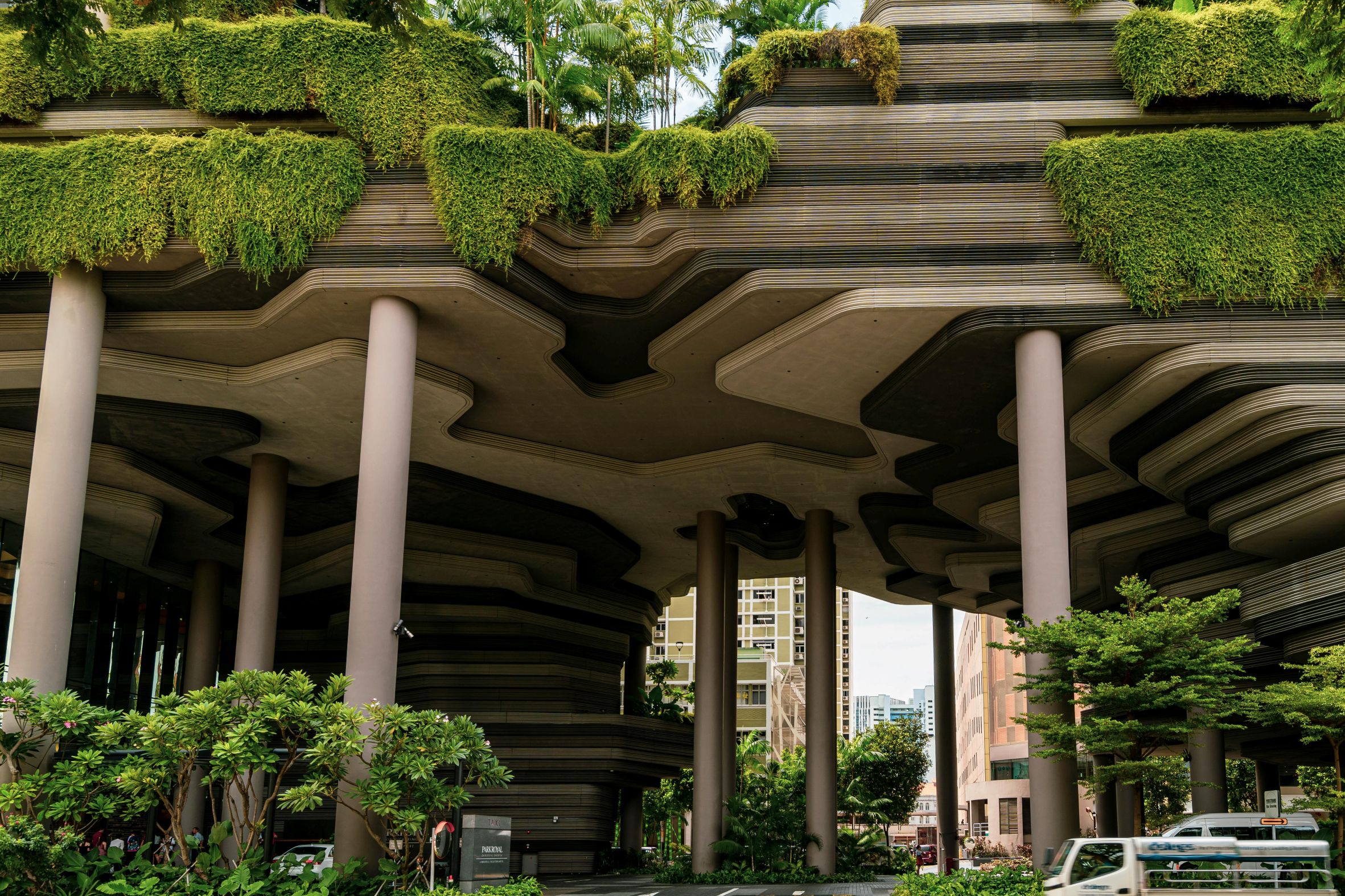 pexels realcereal 15480413